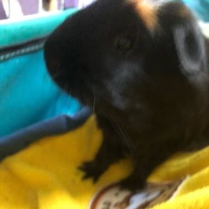 Meet your Posher, Ariana